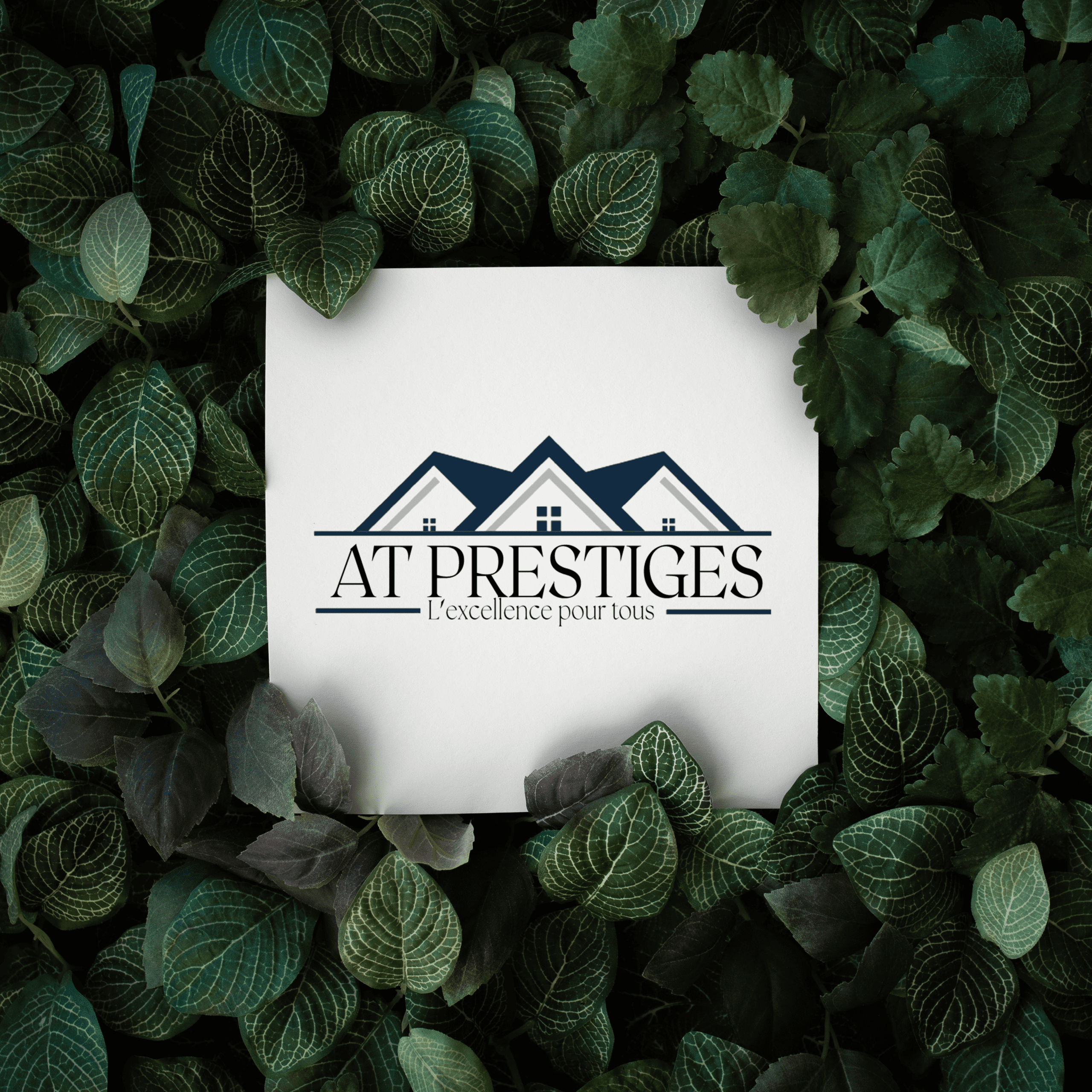 Logo AT PRESTIGES - Fraischeur