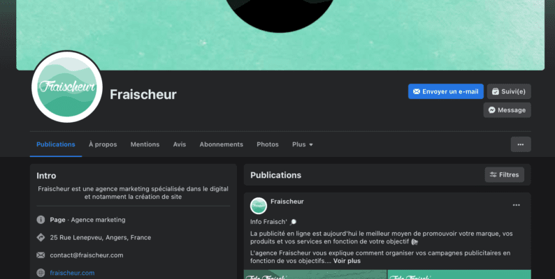 Quel type de contenu pour quel réseaux sociaux ? - Fraischeur