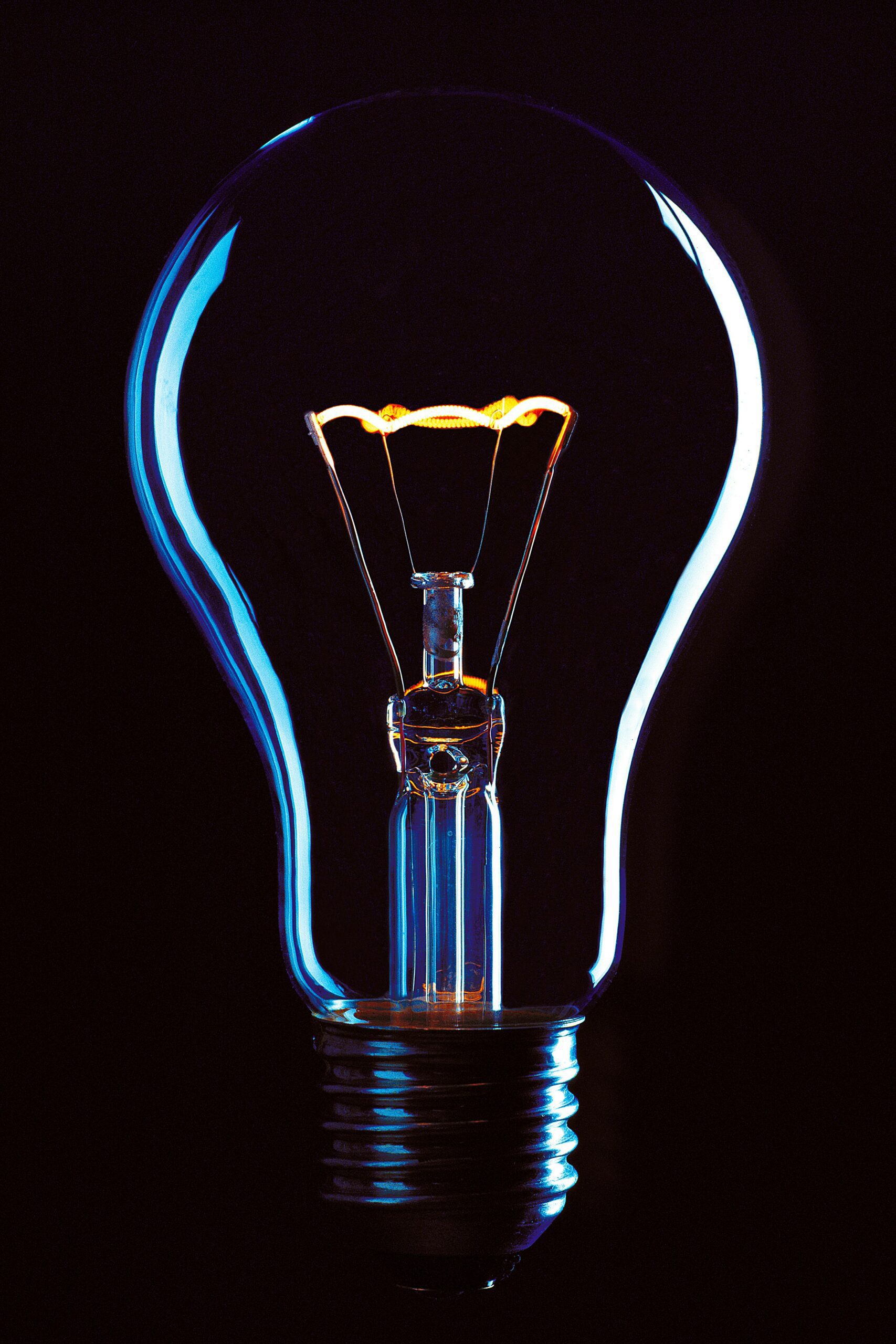 Neuromarketing, les biais cognitifs au sein de votre stratégie marketing - Le conseil Fraischeur - Fraischeur