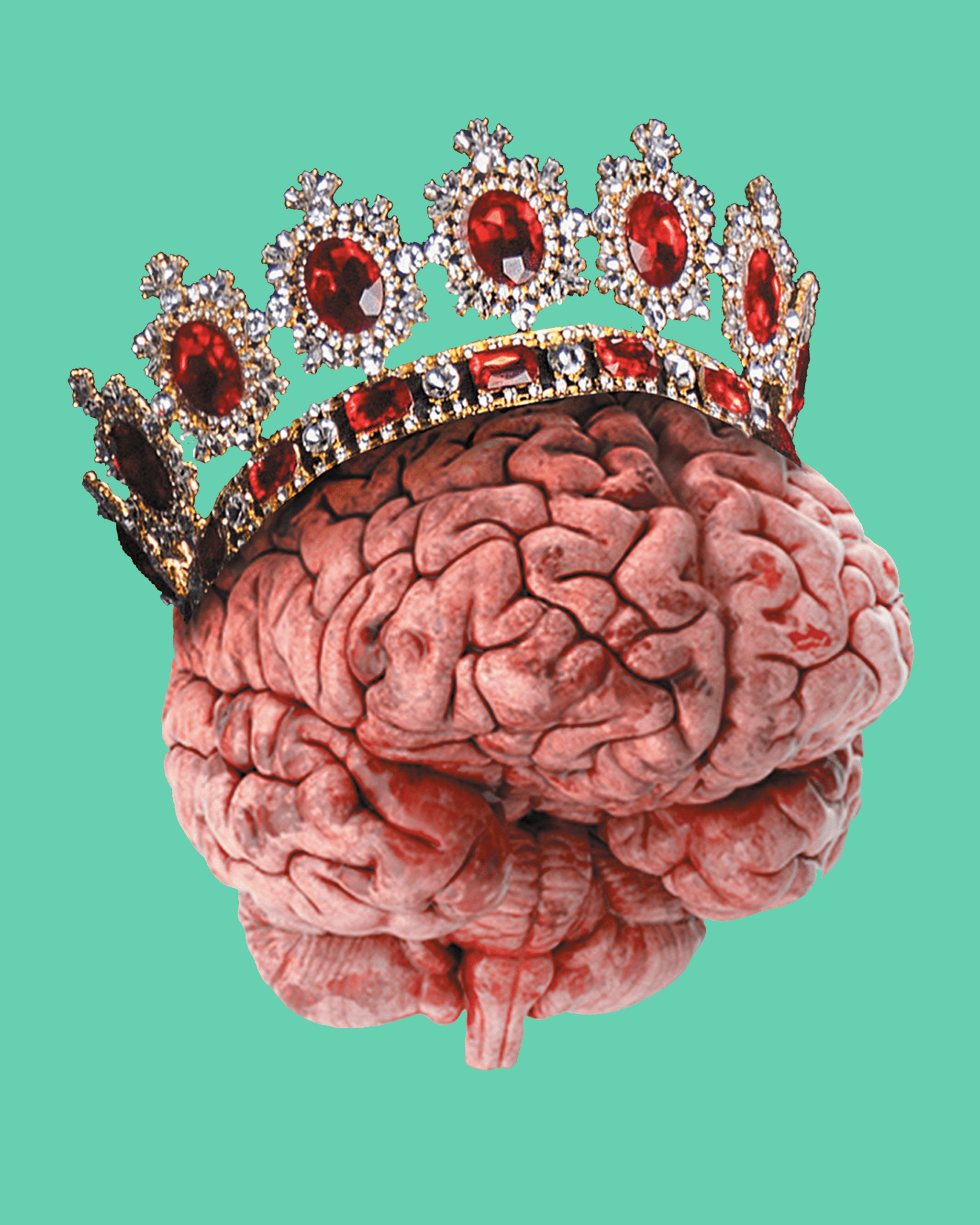 Neuromarketing, les biais cognitifs au sein de votre stratégie marketing - Fraischeur
