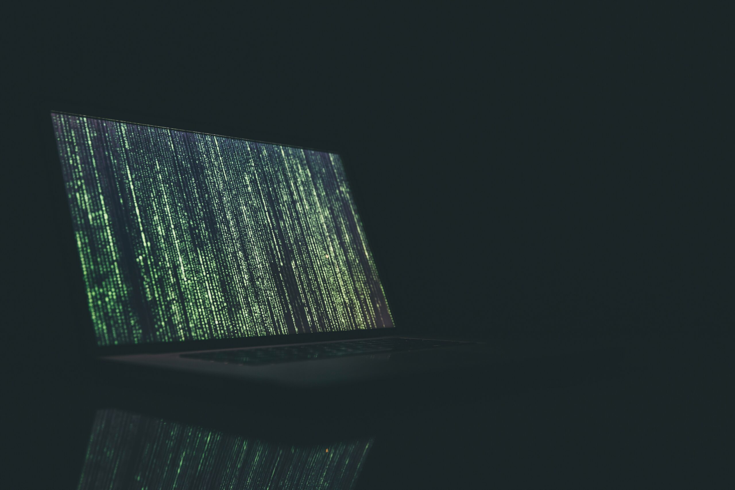 Une communauté de développeurs réactifs - Pourquoi choisir WordPress pour son site web ? - Fraischeur