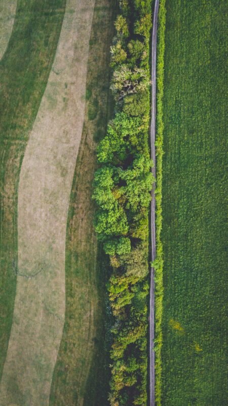 L'impact du digital sur l'environnement- Le digital a un impact sur l'environnement, à la fois négatif et positif-Fraischeur