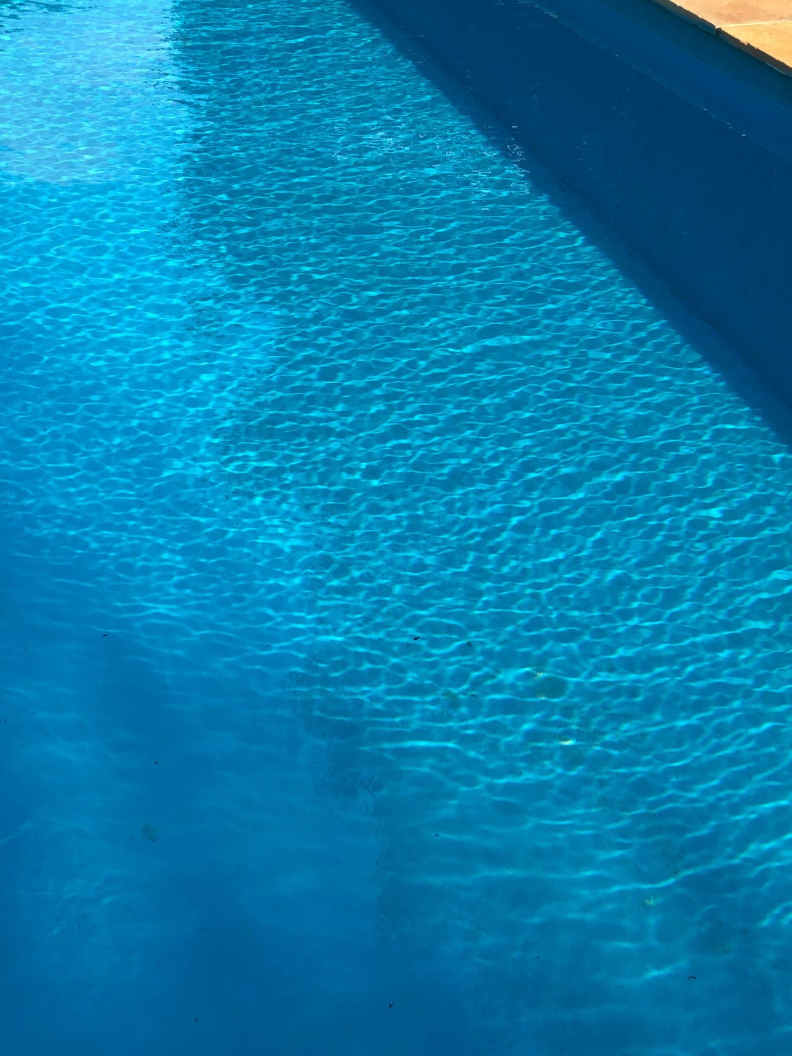 SCD Piscine Agence Fraischeur
